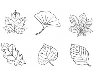 Leaves. Stamps