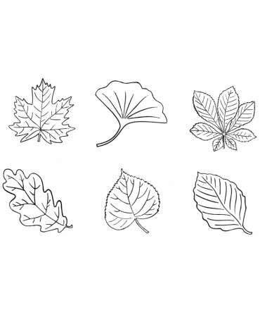 Leaves. Stamps