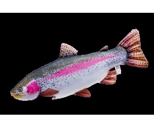 The Rainbow Trout Pillow (62 c..